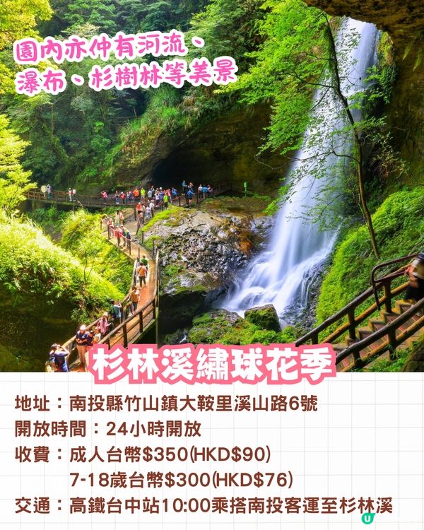 台灣5大繡球花景點🪻全台最大50萬株花海/繡球花童話樂園/絕美梯田🚗附交通資訊