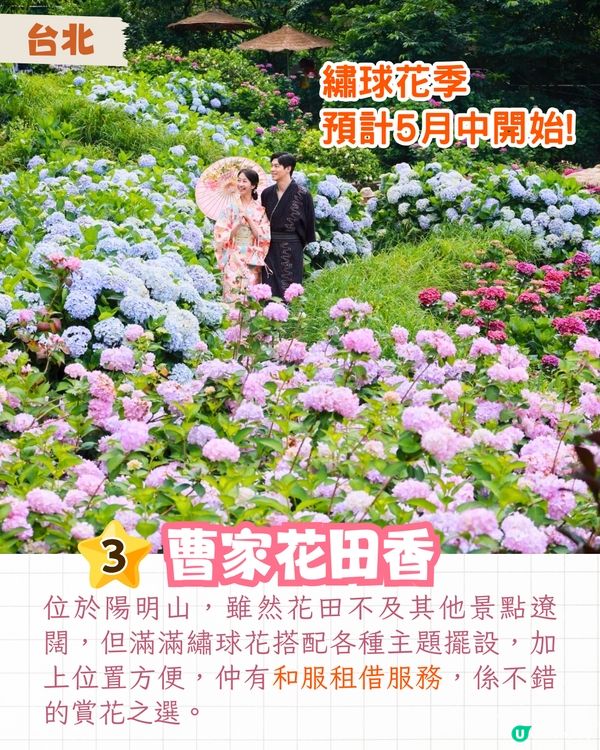 台灣5大繡球花景點🪻全台最大50萬株花海/繡球花童話樂園/絕美梯田🚗附交通資訊