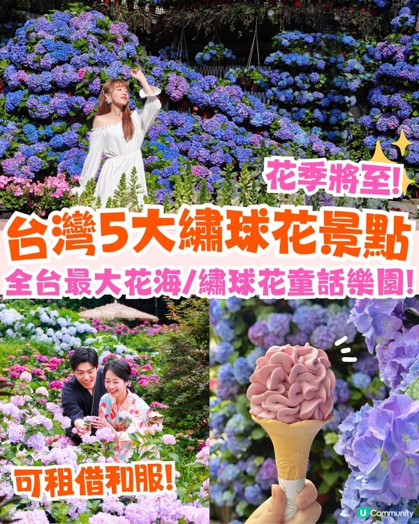 台灣5大繡球花景點🪻全台最大50萬株花海/繡球花童話樂園/絕美梯田🚗附交通資訊