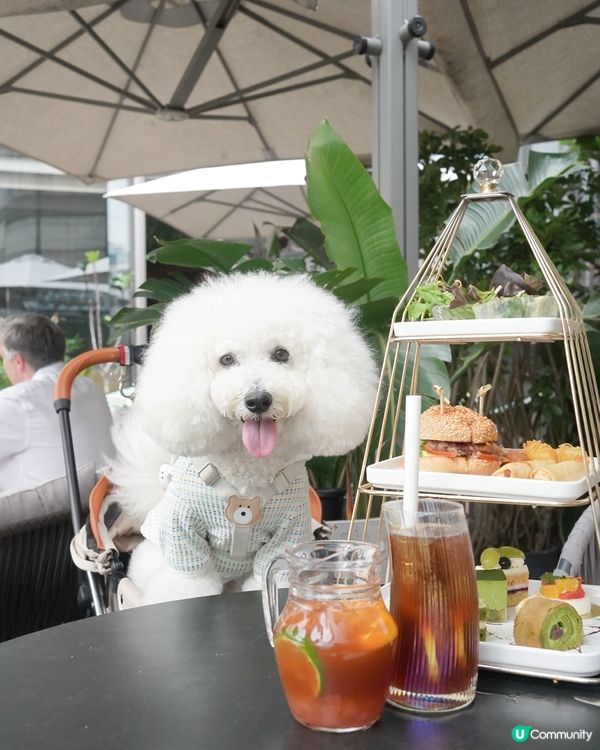 尖沙咀K11 MUSEA 5樓嘅Glasshouse ,都有...