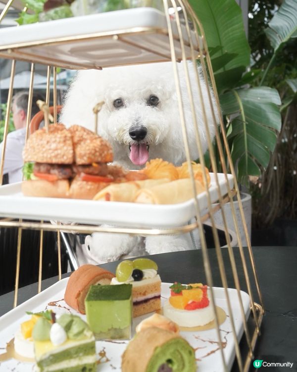 尖沙咀K11 MUSEA 5樓嘅Glasshouse ,都有...