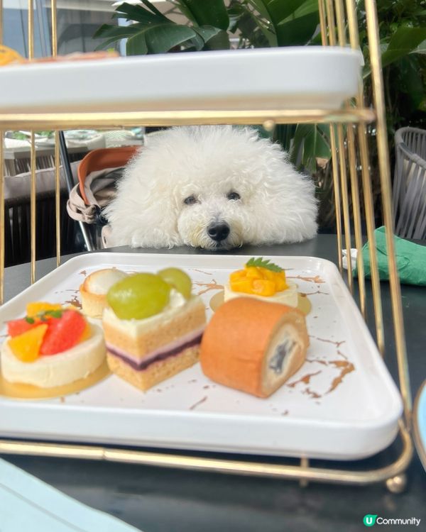 尖沙咀K11 MUSEA 5樓嘅Glasshouse ,都有...