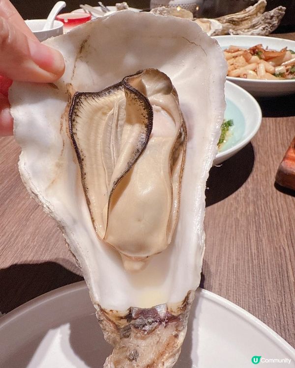 深圳親民價吃海鮮蠔宴