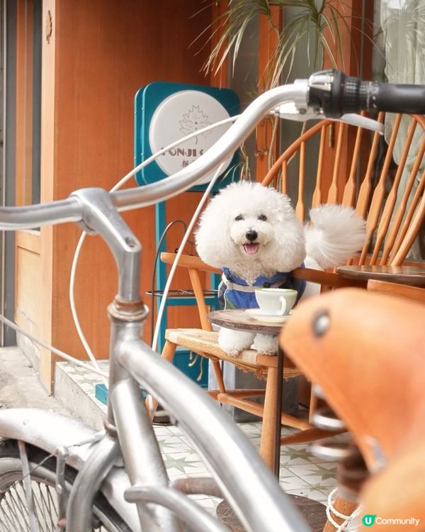 氛圍感滿滿嘅楓子咖啡