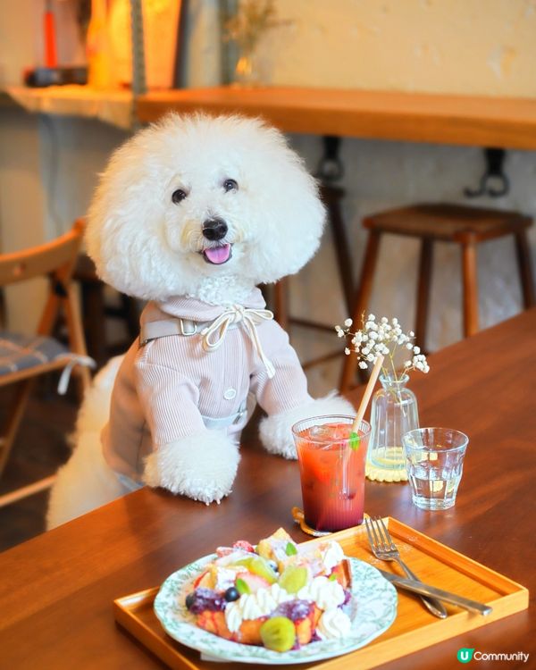 如果可以「日日」嚟嘅高質食店