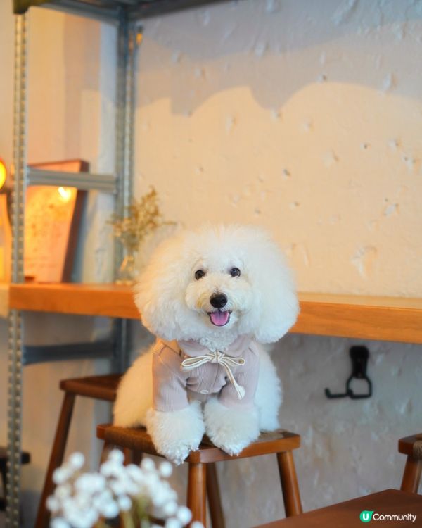 如果可以「日日」嚟嘅高質食店