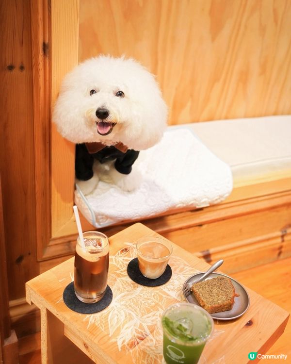 近期大熱黑膠咖啡店 配上畫廊氛圍