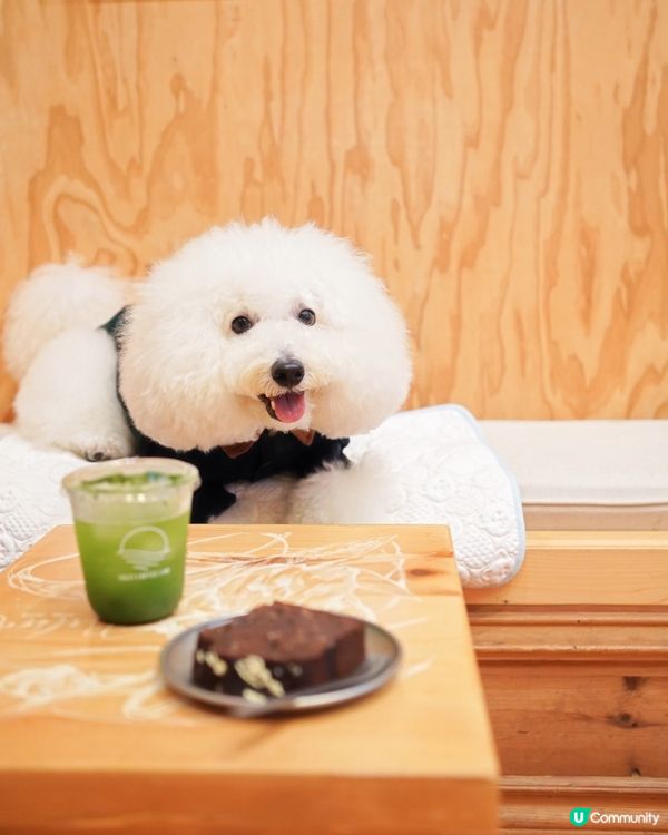 近期大熱黑膠咖啡店 配上畫廊氛圍