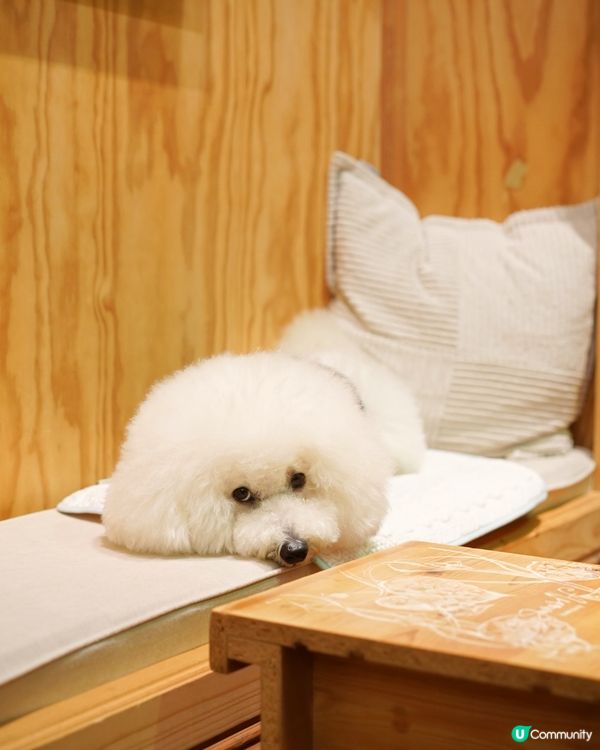 近期大熱黑膠咖啡店 配上畫廊氛圍