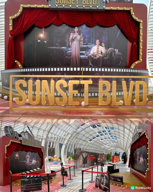 莎拉布箂曼🔥深圳登陸！《日落大道》音樂劇震撼登場！