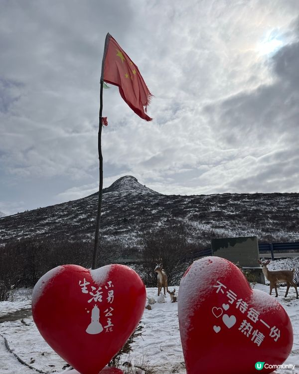 岷江源國的濕地公園 #中國好去處#中國食買玩#好去處#隱世打...