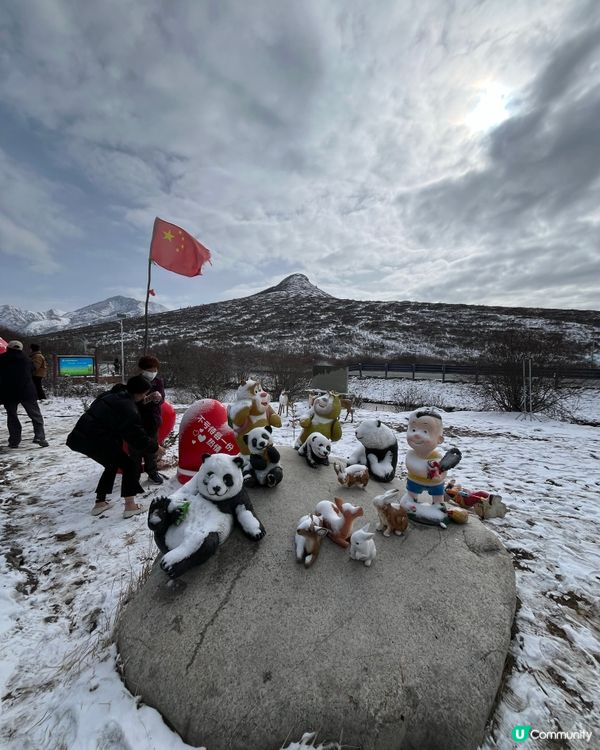 岷江源國的濕地公園 #中國好去處#中國食買玩#好去處#隱世打...