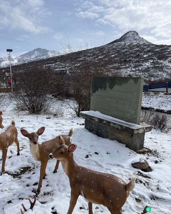 岷江源國的濕地公園 #中國好去處#中國食買玩#好去處#隱世打...