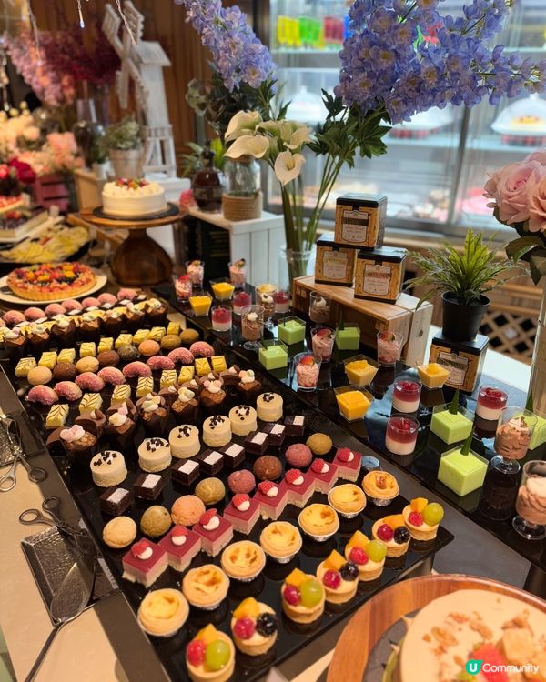 假期嘆海鮮🦀🦞🦪 全港最好食🦀蟹腳！