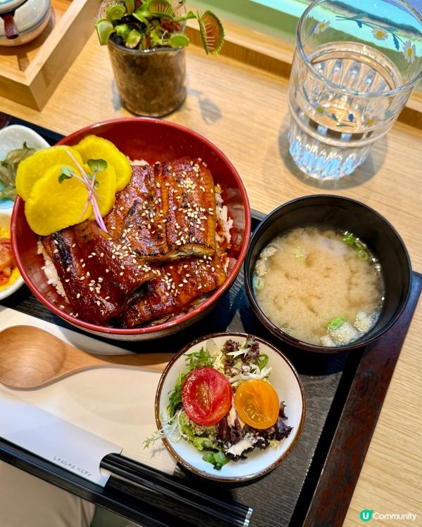 北角新開日式丼飯 🥢 知延屋試食報告！
