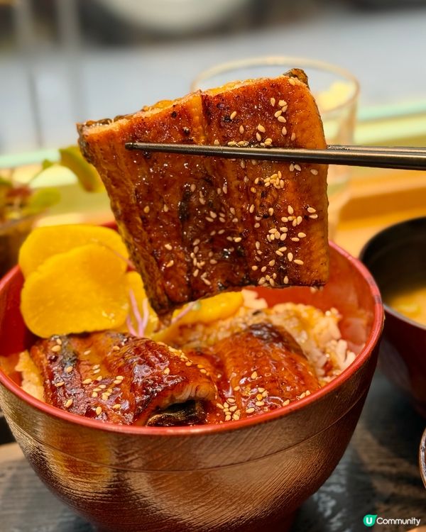 北角新開日式丼飯 🥢 知延屋試食報告！