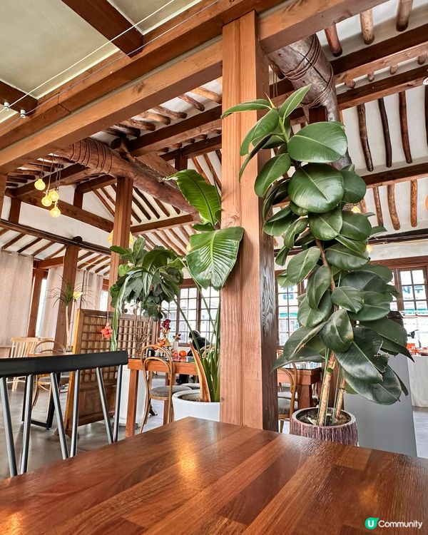 【🇰🇷韓國全州必訪】柿子控天堂「홍시궁」招牌柿子拿鐵清甜驚艷！