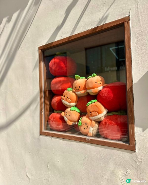 【🇰🇷韓國全州必訪】柿子控天堂「홍시궁」招牌柿子拿鐵清甜驚艷！