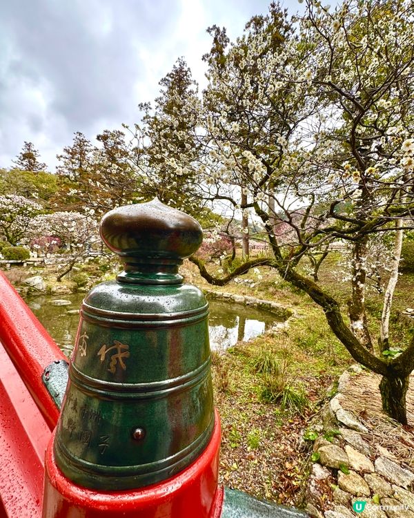 ⛩️ 太宰府天滿宮 ⛩️ 。3。