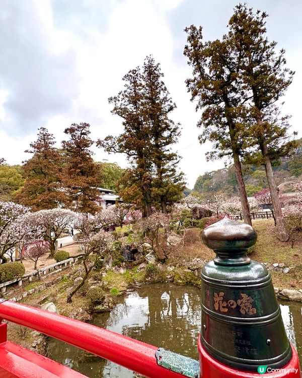 ⛩️ 太宰府天滿宮 ⛩️ 。3。