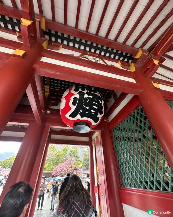 ⛩️ 太宰府天滿宮 ⛩️ 。3。
