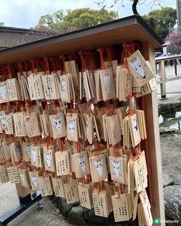 ⛩️ 太宰府天滿宮 ⛩️ 。3。