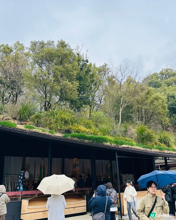 ⛩️ 太宰府天滿宮 ⛩️ 。3。