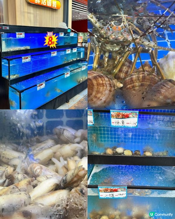 福田皇庭新開燒烤🔥  驚喜連連！