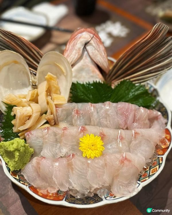 佐敦居酒屋🏮優惠多多，抵食又好味！🤤