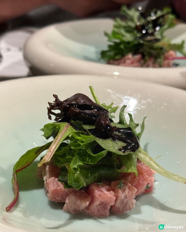 高性價比高級味蕾之旅 🤤  
去過就難忘！😋