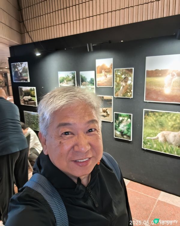 香港農貓相片展覽