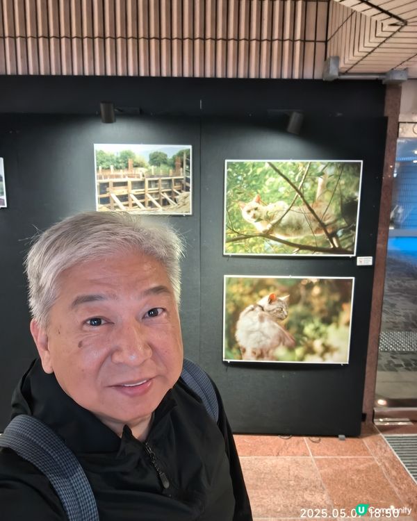 香港農貓相片展覽