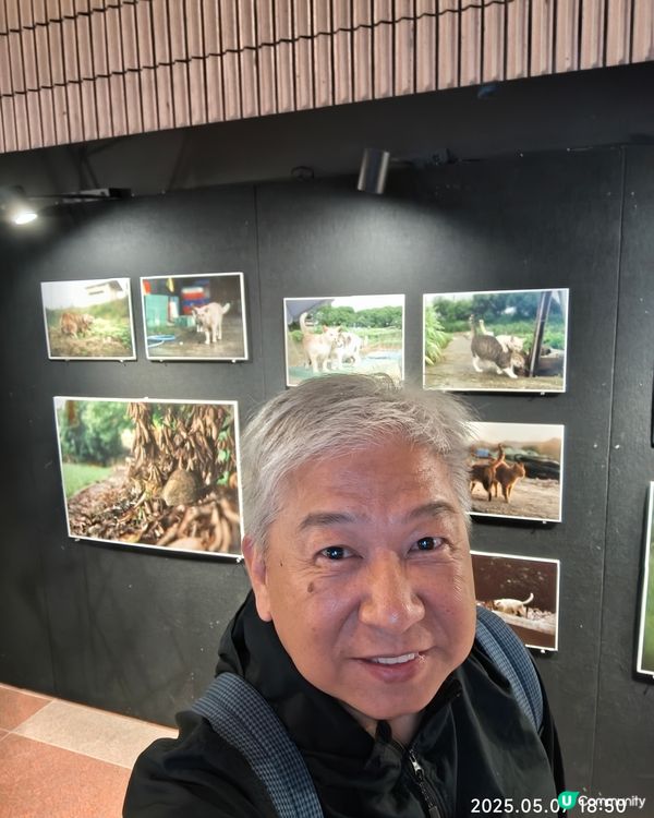 香港農貓相片展覽