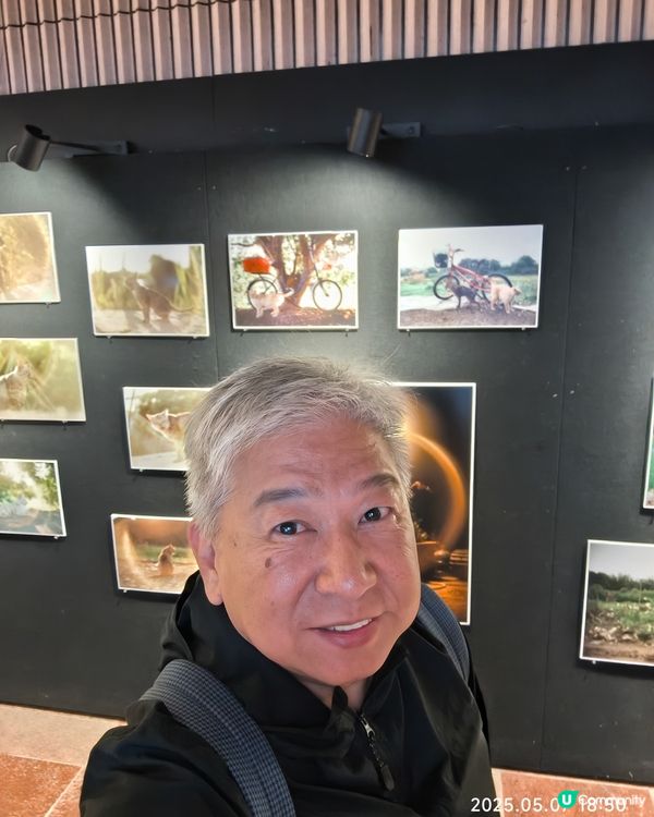 香港農貓相片展覽