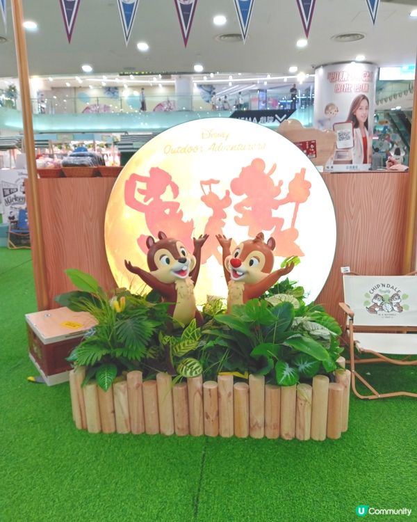 跟住chip n dale 去露營😍😍