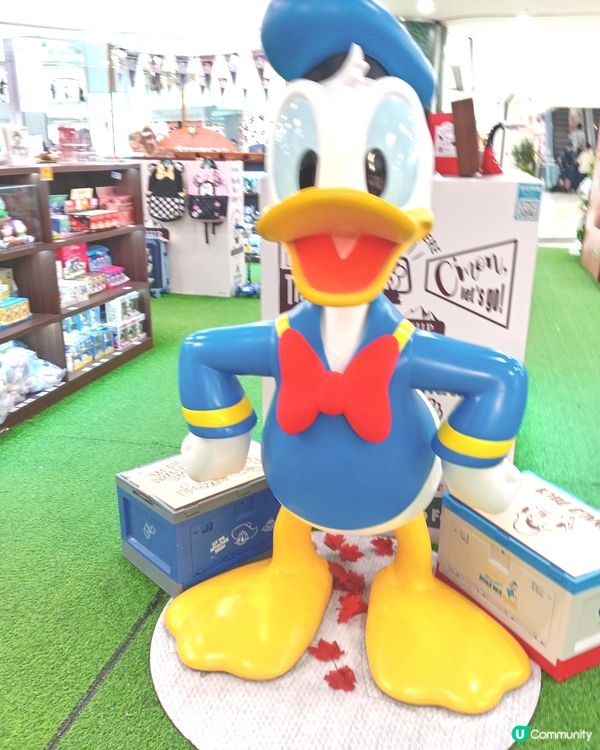 跟住chip n dale 去露營😍😍