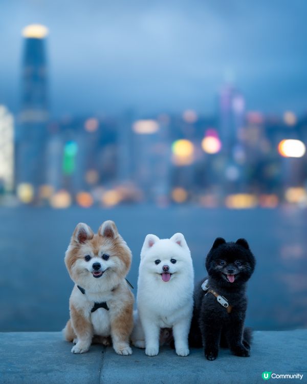 西九夜景美美噠～