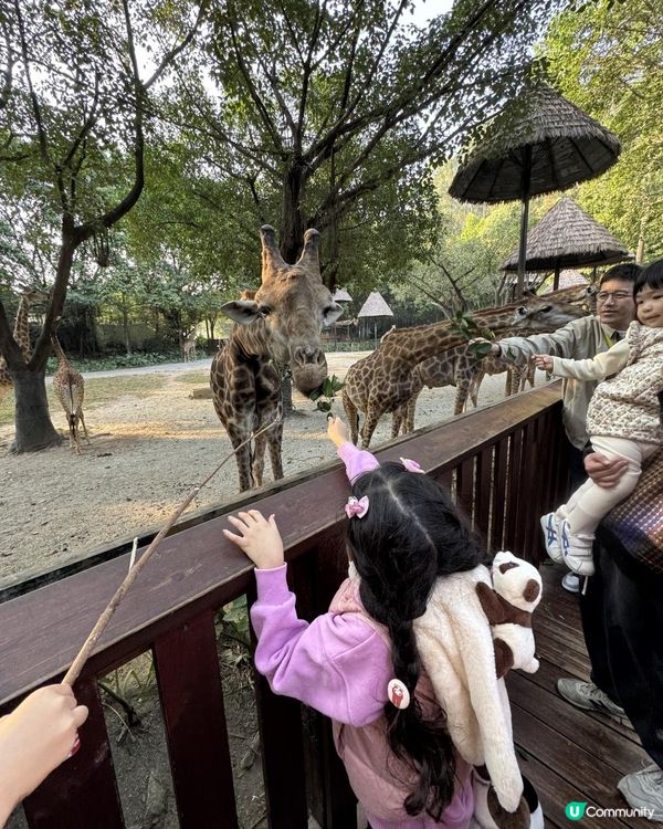 廣州長隆三部曲の野生動物園