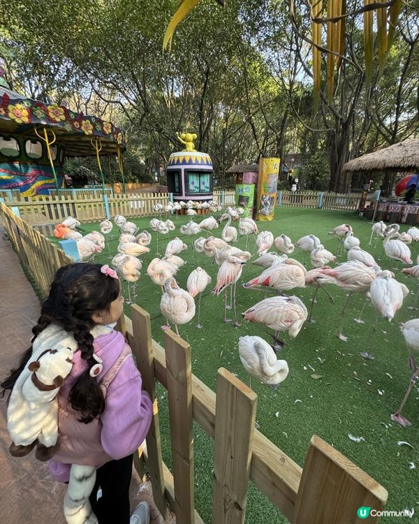 廣州長隆三部曲の野生動物園
