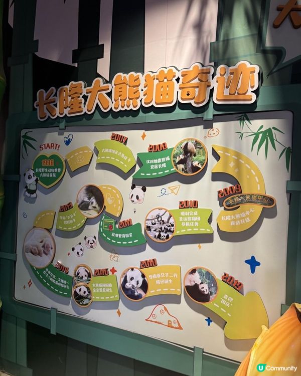 廣州長隆三部曲の野生動物園