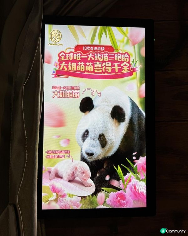 廣州長隆三部曲の野生動物園