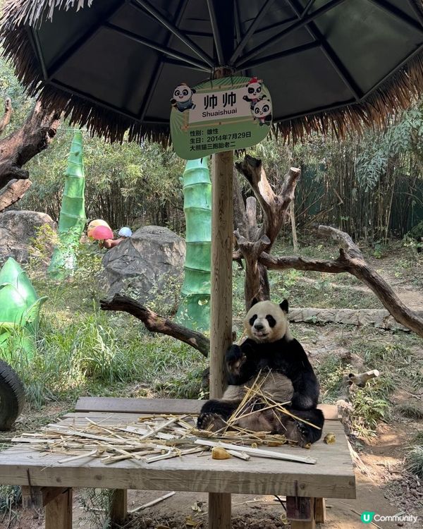 廣州長隆三部曲の野生動物園