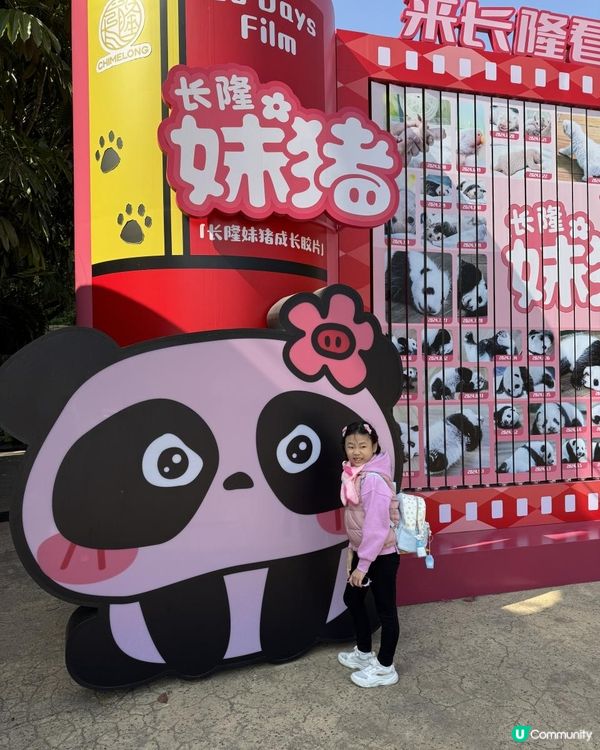 廣州長隆三部曲の野生動物園