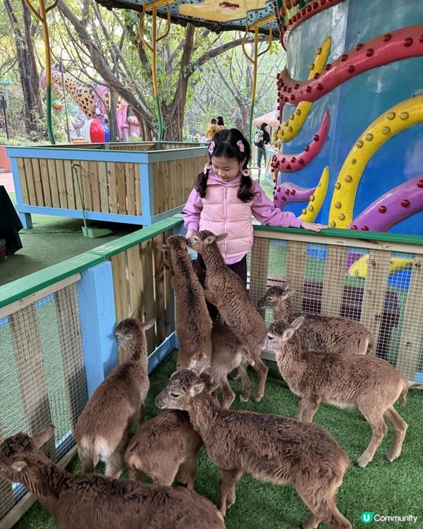 廣州長隆三部曲の野生動物園