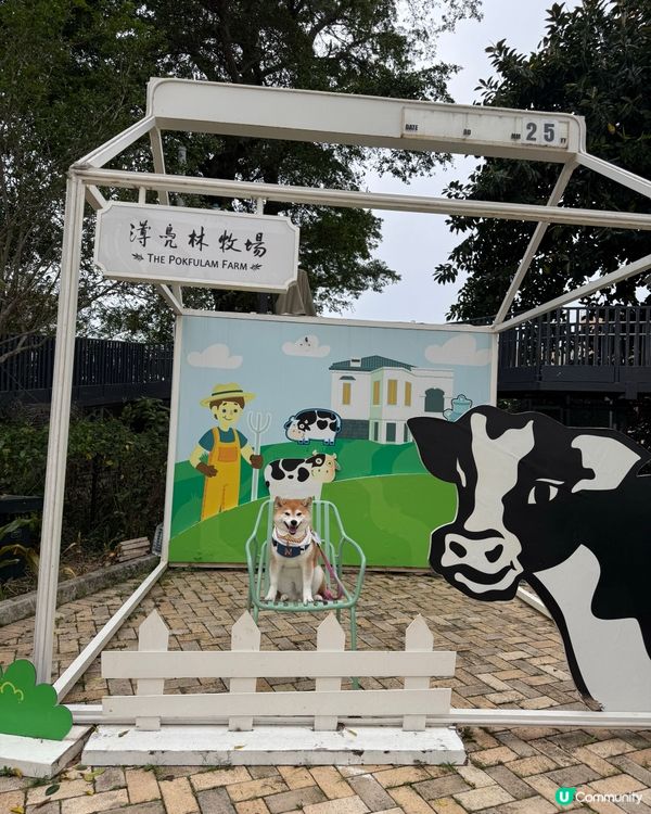 帶毛孩遊百年英式建築