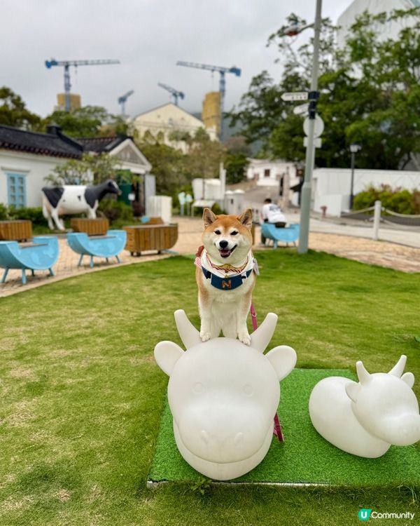 帶毛孩遊百年英式建築