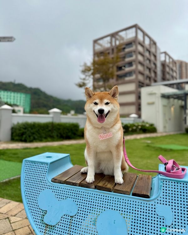 帶毛孩遊百年英式建築