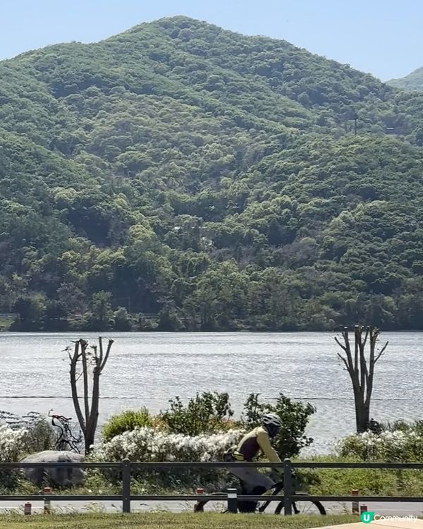 🇰🇷南揚州 팔당댐｜春日踩單車＋散步吸氧好去處！
