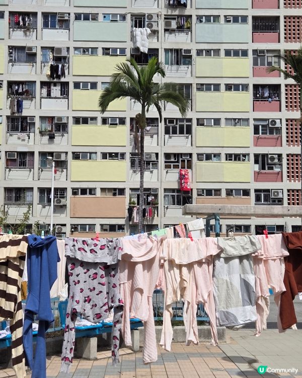 香港屋邨遊：彩虹邨