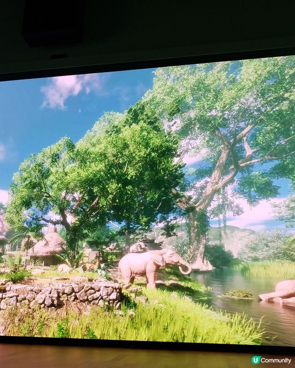 被《璨星—古蜀文明沉浸式數字藝術展覽》震撼倒了